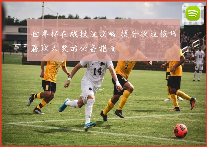 世界杯在线投注攻略 提升投注技巧赢取大奖的必备指南
