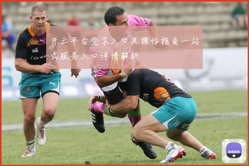 开云平台登录入口及操作指南一站式服务入口详情解析