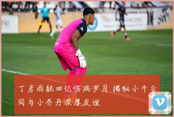 丁彦雨航回忆伤病岁月 揭秘小牛合同与小乔丹深厚友谊