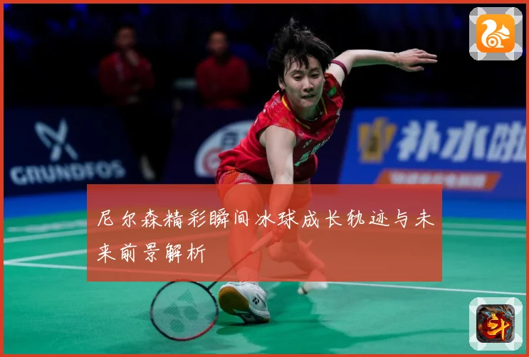 尼尔森精彩瞬间冰球成长轨迹与未来前景解析