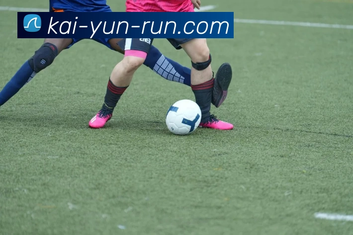 开云平台展示图